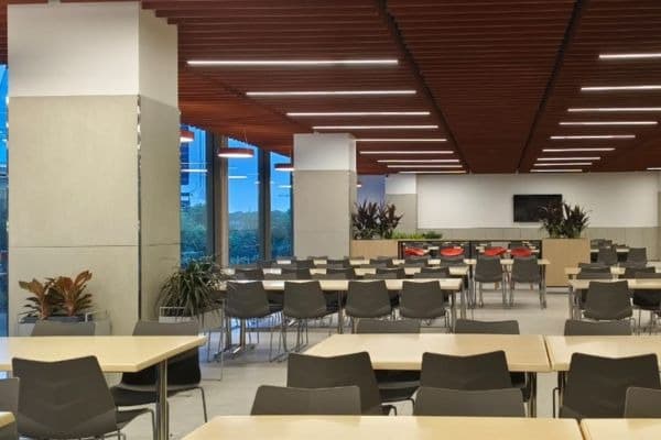 Corporate Office Greening