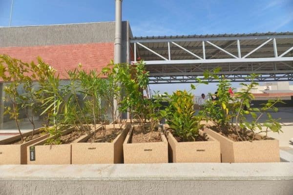 Urban Terrace Garden